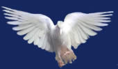 om