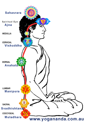 kundallini and chakras